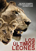 Top 32+ imagen los ultimos leones documental completo